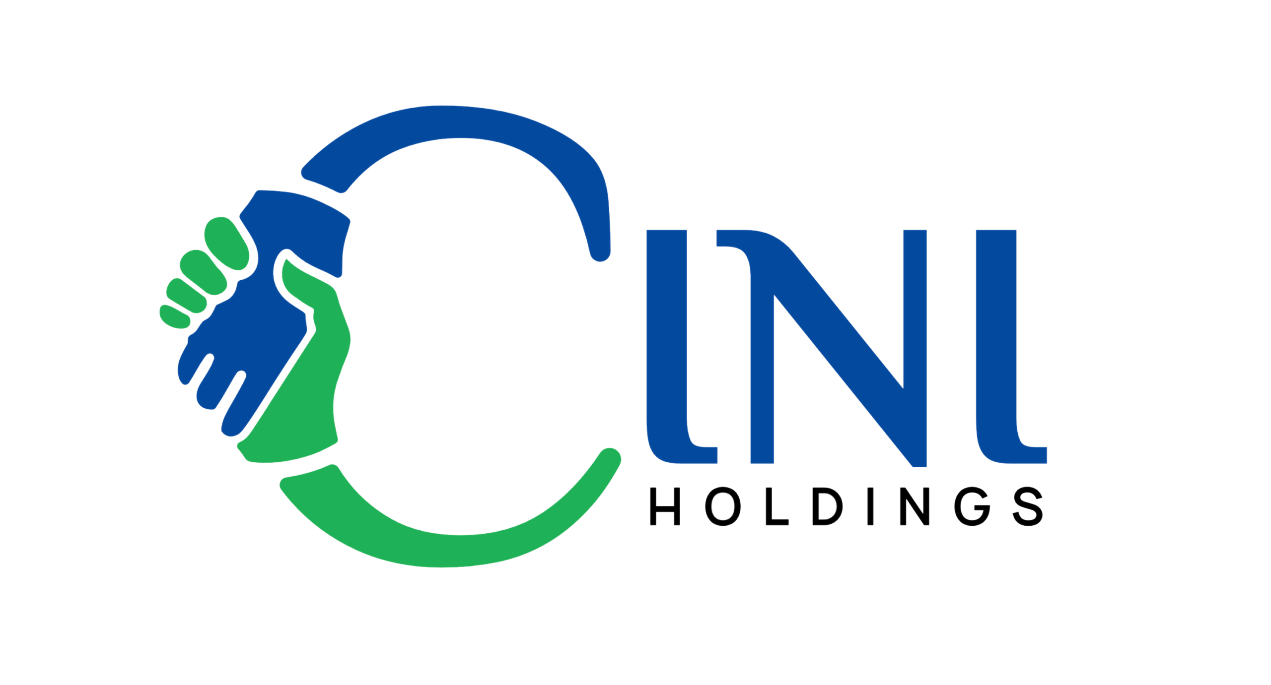 CINI HOLDINGS
